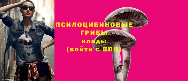 стаф Верхний Тагил