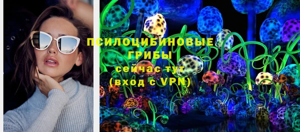 стаф Верхний Тагил