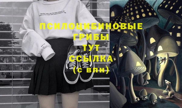 гидра Бугульма