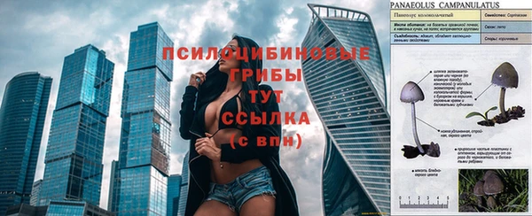 a pvp Волоколамск