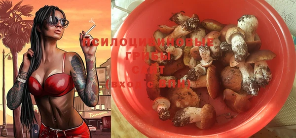стаф Верхний Тагил